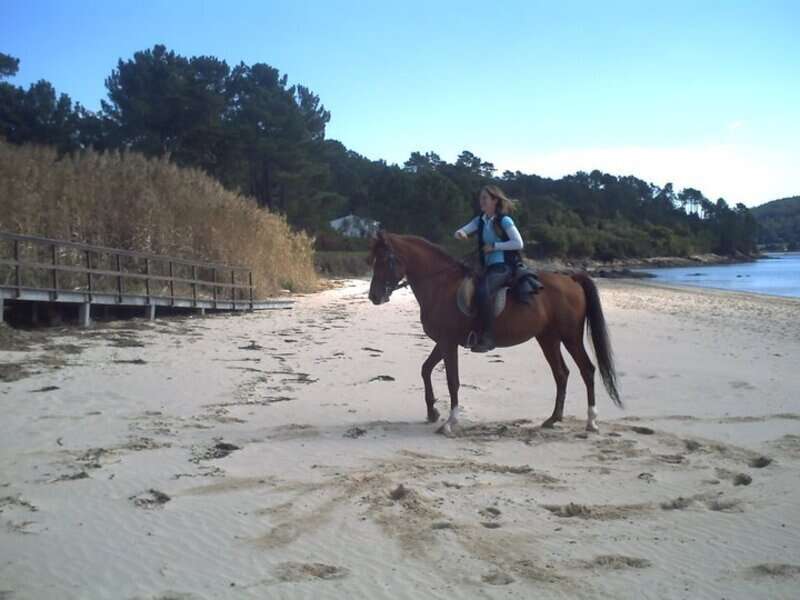 A galope en a costa da morte