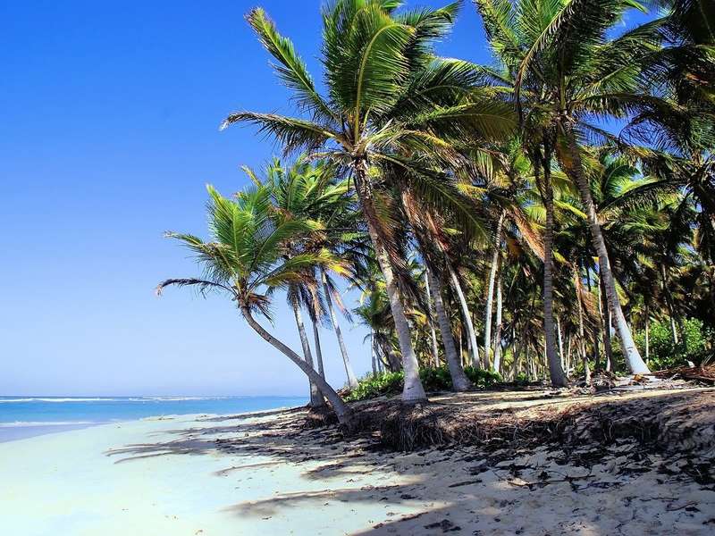 Siente el caribe en punta cana