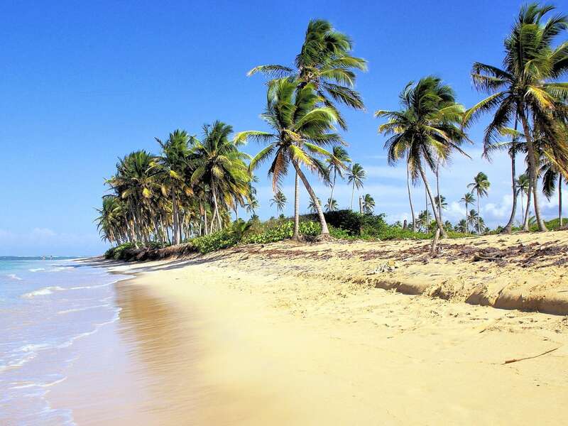 Siente el caribe en puenta cana