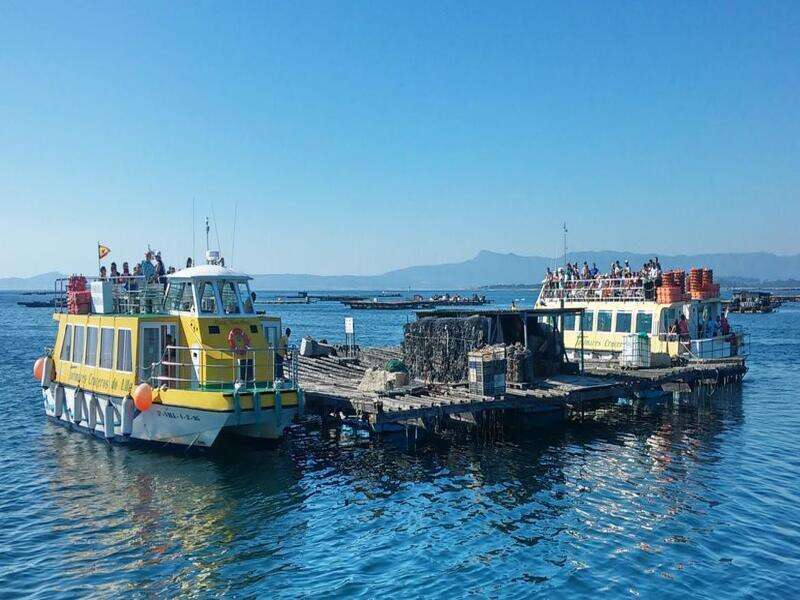 Conociendo la rÍa de arousa en catamarÁn